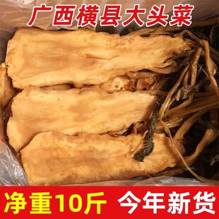 �V���M�h���^���̲����r�r�����ƴ��^������^���~�������10��