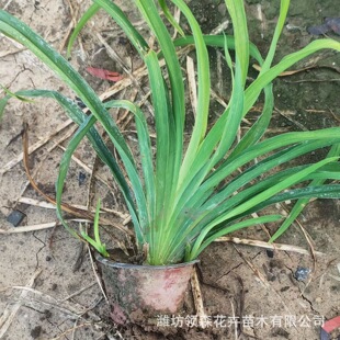 ����ݽ��������n���҃�ͥԺ���Ե��d�ļ��׻�G��������ݻ���