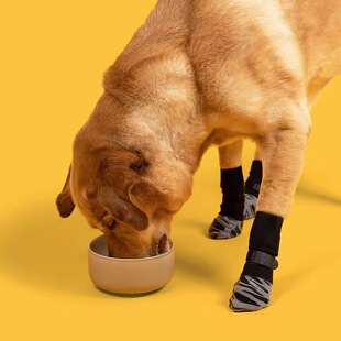 Factory Direct Sales Dog Foot Socks Nylon Material Can Be Worn in All Seasons Dog Footprints Socks
