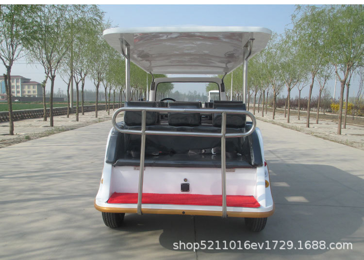Electric Sightseeing Car, Golf Cart, Campus and Scenic Area Sightseeing Patrol Car, Vintage Car for House Tours, Reception and Transfer Vehicle
