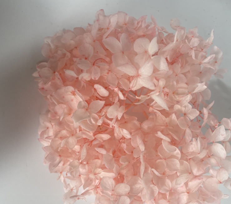 微信截图_20231203172814