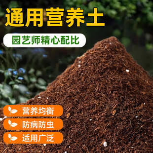 Nutrient Soil for Flower Cultivation, General-Purpose Vegetable and Flower Cultivation, Special Flower Soil, Household Organic Peat Soil, Succulent Flower Planting