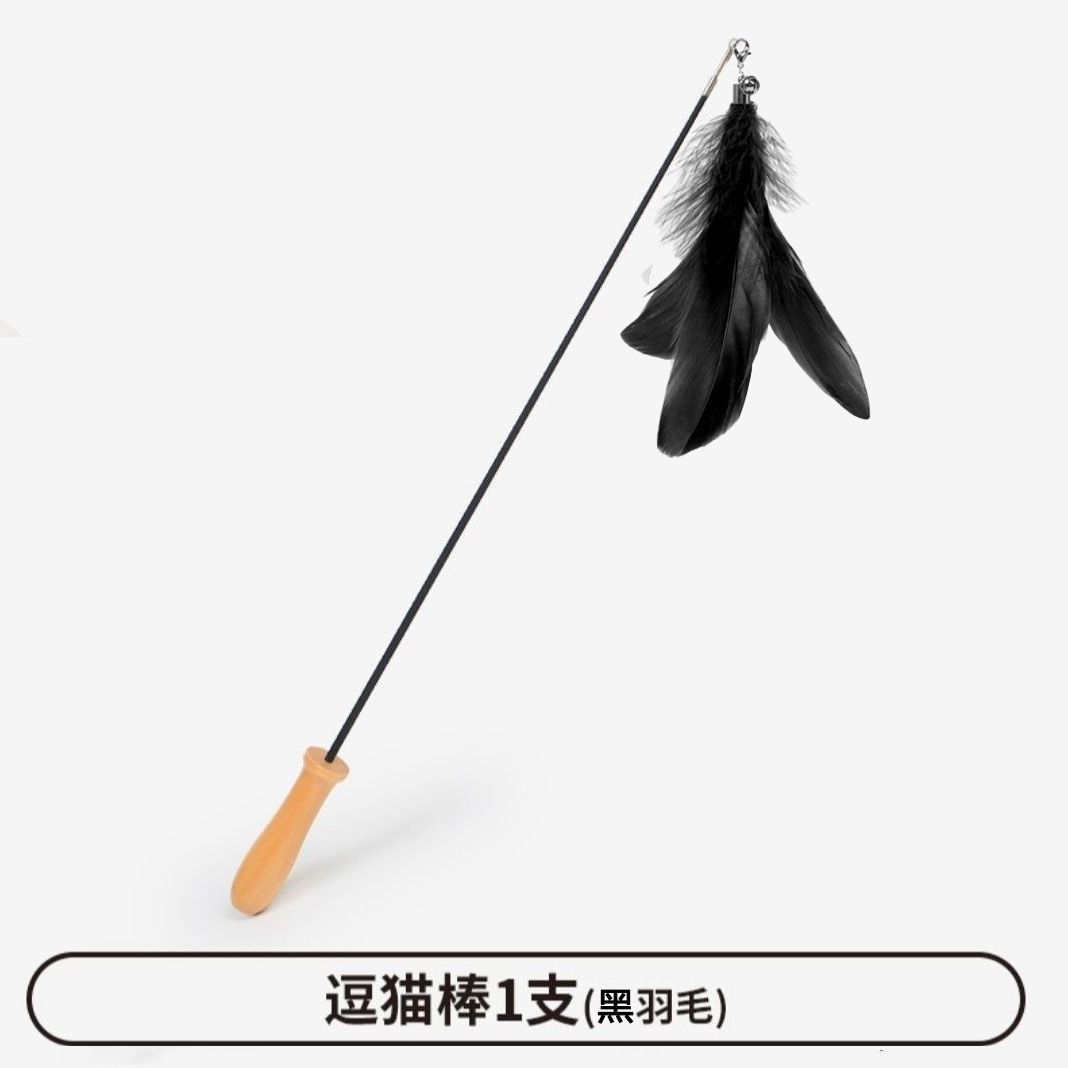 2단 텔레스코픽 폴 + 검은색 깃털