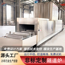 灭菌专业隧道炉烘干线高温控温消毒生产加热设备