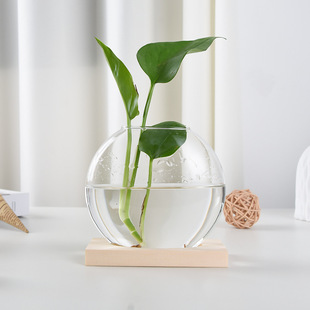 Desktop Hydroponic Plant Glass Vase Dried Flower Decoration Office Desk Flower Arrangement Container Creative Ornaments