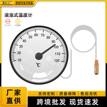 高精度便携式室内家用0°—120°指针液涨式带探头水温计温度计