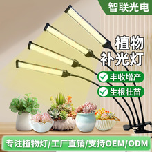 �羳���Nֲ���a���ȫ���V�����߲˻��ܾGֲ���綨�r̫ꖹ����L��