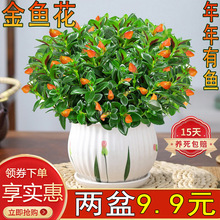 ���~�����ԾGֲ���ܽ��~���m�҃ȿ͏d����ֲ���ļ������ͺ����B��