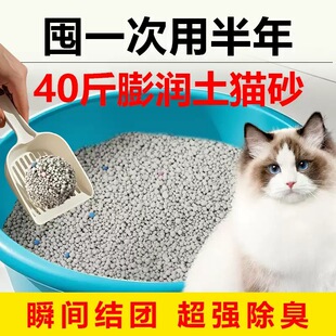 ����؈ɰ���]40��������ȥ����ζ�����S��ɳ����̿�Vɰ���l