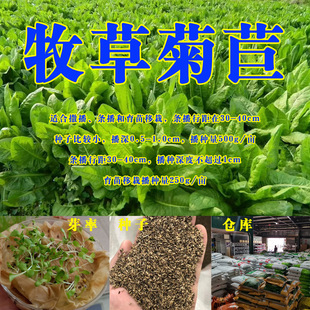 ���ĲݷN�Ӵ��~��܊���Ĳ��Ѷ������iţ���R�u���Z�ļ��߮a������