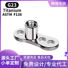 ��ɭF136�ѺϽ��񶤵���G23����Ƕ��������崩��Ƥ��ֲ�����Ƕ�