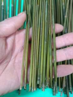 Ultra-Fine Fresh Small Bamboo Pole Green Thin Bamboo Bamboo Erhu Bow Kindergarten Kidsren's Toys DIY Small Bamboo Pole