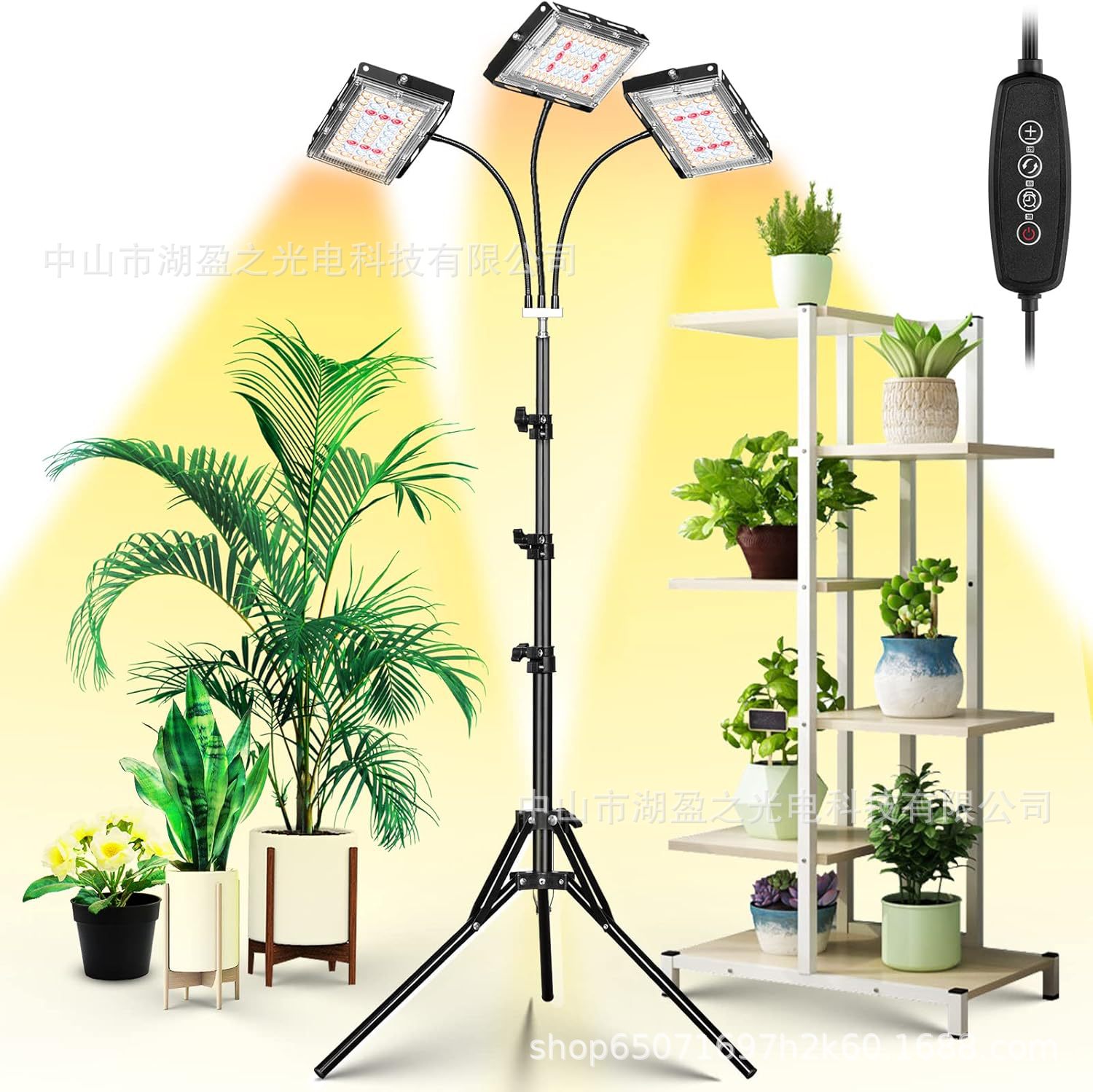 LED plant lamp