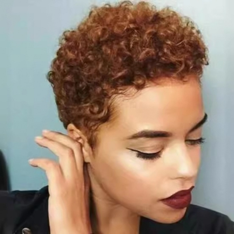 非洲小卷棕色假发美式风自然透气蓬松 afro Kinkly Curly Wig|undefined