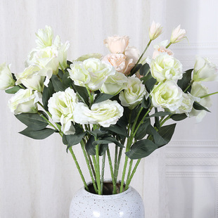 ����4�^��۹������� �ļ�����ins�L�ҾӔ[���ٻ����߻�c�b�Ʒ