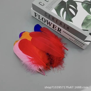�Zëܛ���h��ɫ��؈����ëdiy̫ꖻ�������W����b��ֹ�����