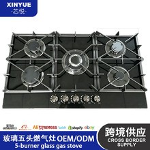 �羳ȼ�����ͷ¯��⿾߲���ȼ�����̨Ƕ����ȼ����5ͷȼ����