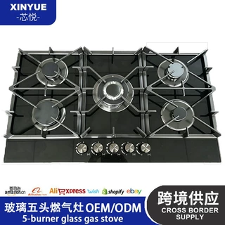 跨境燃气灶多头炉烹饪具玻璃燃气灶具台嵌两用燃气灶5头燃气灶