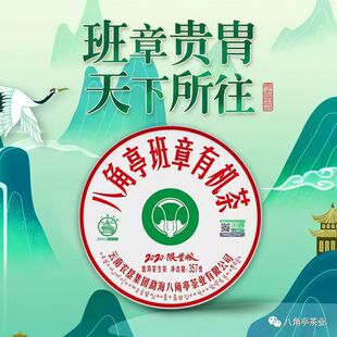 2020 �˽�ͤ�������� ������S �º���ɽ�ն������ 357g ���ò�