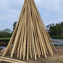 �S��ֱ������ë���������S�������������Ͳ��ˇƷ��ˮ��