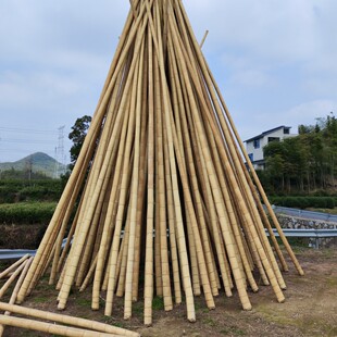 �S��ֱ������ë���������S�������������Ͳ��ˇƷ��ˮ��