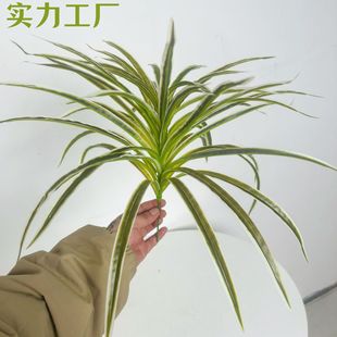 ����ɳĮ�Gֲ��ǧ�ք��������m�҃ȿ��g���澰�^�U���쾰�b[��