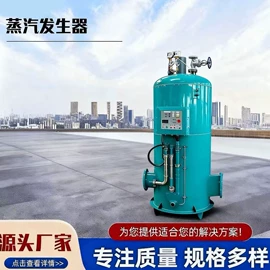 蒸汽发生器;燃煤锅炉;燃气锅炉