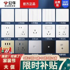 ブルーウォールスイッチパネル 86 タイプ家庭用 5 穴 USB ソケット 1 2 オープンデュアルコントロールライトスイッチ g12 ホワイト