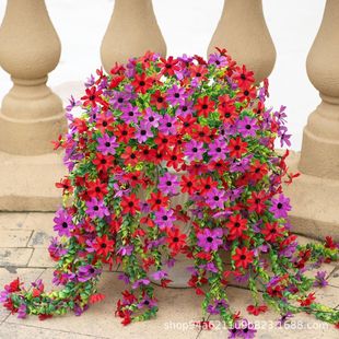 �羳���滨�߶��m�����_�m�ȼ����Gֲ�҃����c�ڒ��ٗl�b�