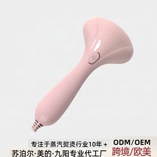 Cross-Border E-Commerce Handheld Garment Steamer, Small Flat Iron and Garment Steamer 2-in-1 Electric Iron, Travel Essential, Portable