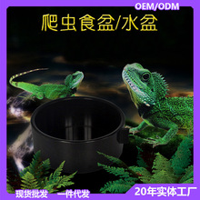 爬虫喂食盒固定水盆小宠物仓鼠粮食碗守宫蜥蜴昆虫角蛙饲养箱