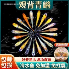 �����F�^�p�~��ˮ�~��ħ���~С���\�����~��ˮ�~���������B����