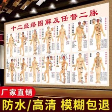 ���徭��Ѩλ��׼��ͼ��ҽ�����ݸ��庣��ǽ���һ�ʮ�������ͼ