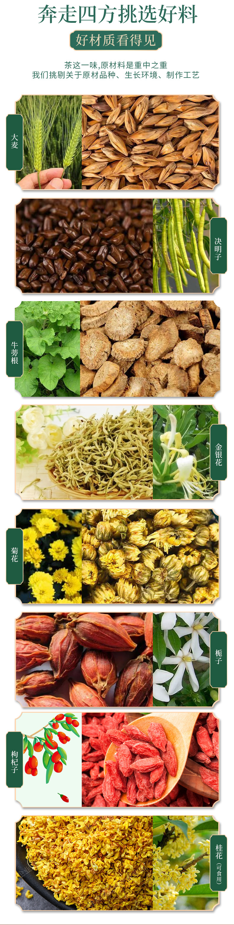 Chrysanthemum Cassia Seed Tea 20 Pyramid Tea Bags 120g Sugar Free Herbal Blend specifications