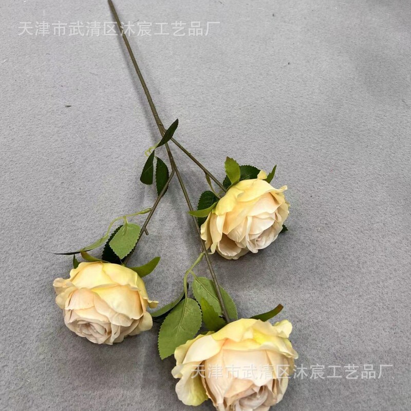 3頭のアカシアのバラはヨーロッパ式の油絵のバラの家庭の撮影の結婚式の撮影の道具の装飾の花をシミュレーションします。|undefined