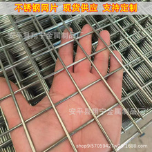 ���P䓾WƬ304���P䓾W��W�z�W�Ӵַ��׷��o�W�Y�W���ӾW�����W