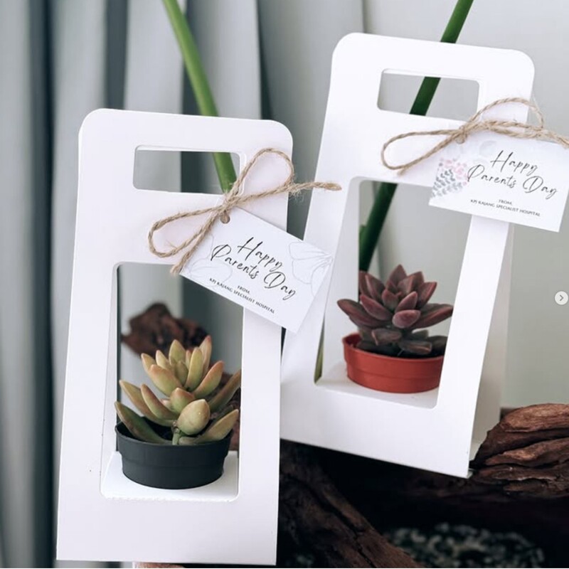 Simple and Fashionable White Kraft Paper Satchel Succulent Potted Gift Packaging Bag Creative Green Plant Flower Packaging