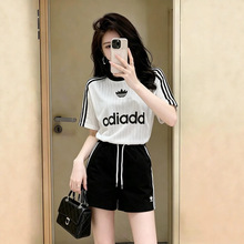 �r��ը�����e�\�����bŮ�ļ�2026�¿����r���@�ݶ����ѝ�ɼ���
