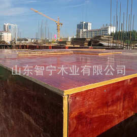 耐用红模板工程工地建筑模板强度高不开胶适合多次使用选智宁木业