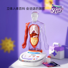 Science Canister Human Anatomy Model Organs Removable Children's Teaching Toy Our Body Voice Encyclopedia