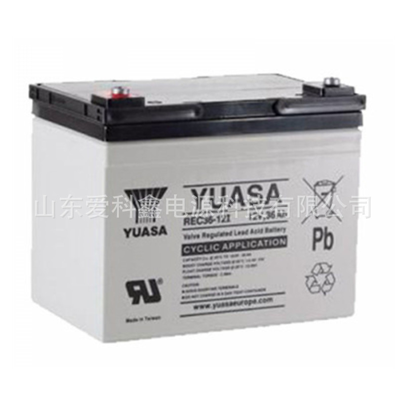 YUASA 汤浅蓄电池 REC36-12I 12V36AH