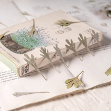 多枝芙蓉菊 押花材滴胶干花diy手工花材植物教学干花天然真花标本