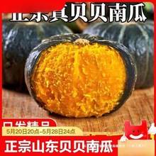 京鲜匠贝贝南瓜山东新鲜板栗味小南瓜蔬菜甜粉糯香甜2斤包邮