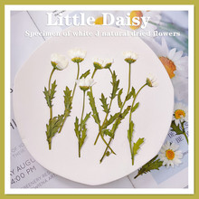 ׾ ȉ֦СrոɻѺDIYz֬Ʒ޹ϞT򉺻