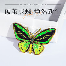 ��������ᘡ�����Ů���W���B���P�������˱��D���b��ٷ���