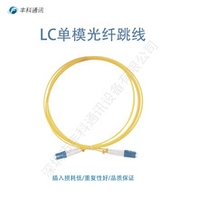 LC/UPC-LC/UPC 双芯单模 G652D 9/125 2米 光纤跳线