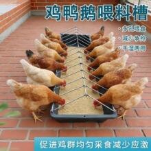 鸡鸭鹅通用鸡料槽防踩踏防粪便养鸡场专用镀锌钢筋框架加厚批发
