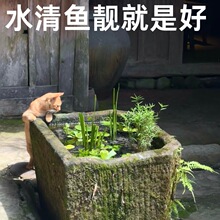 �ŷ��B�~������쾰���Bȫ��ֲ���B�~����䁵���ԃ�ˮˮ���ײ�