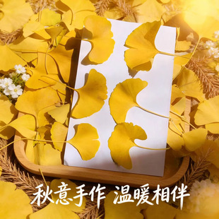���l��Ȼ�y���~ֲ��̌W�˱��S�y���~�׃��@�ֹ�ֲ��ƴ��������
