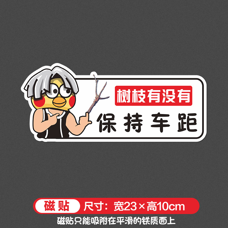 Is there any reflective magnetic branch?